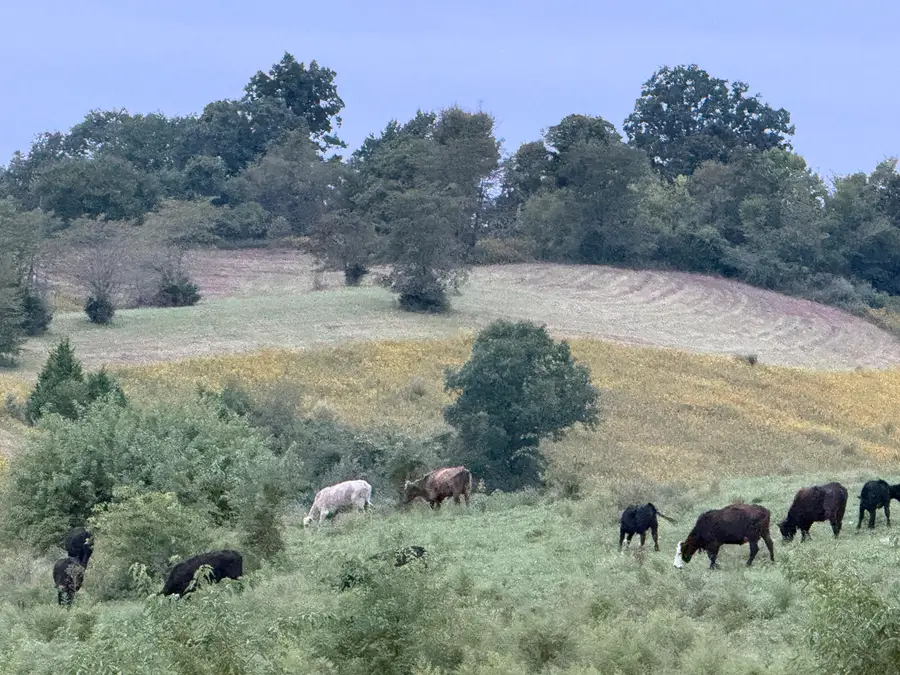 2606 W Ky Highway 330, Falmouth, KY 41040 - #3