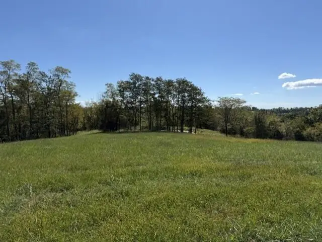 1066 West Creek Spur, Mount Olivet, KY 41064 - #1