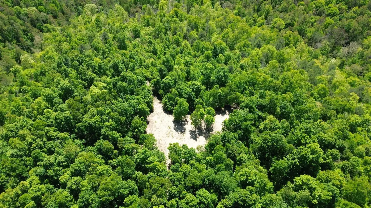 322A Clay Camp Road, Grayson, KY 41143 - #1