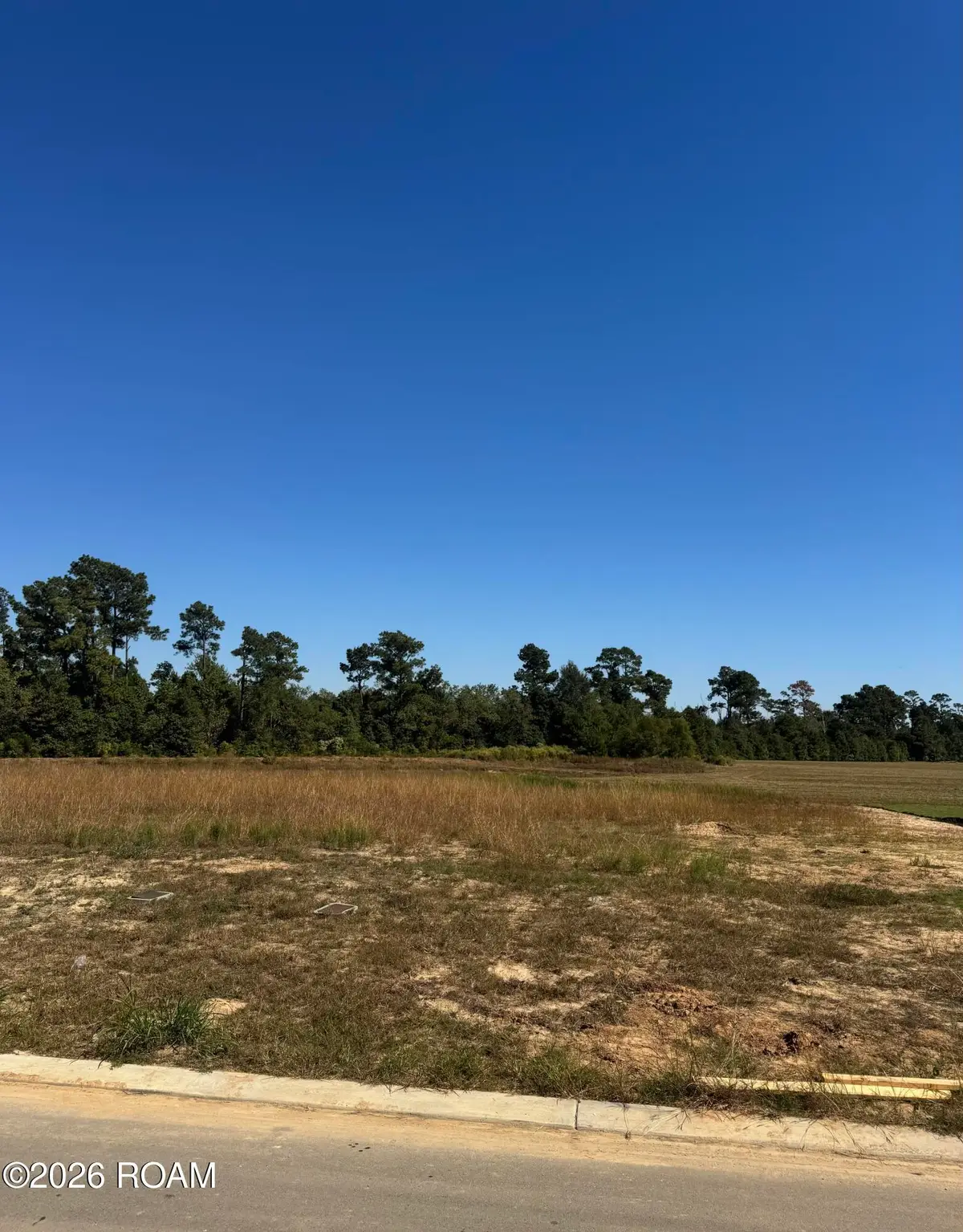 3119 E Blue Heron Drive, Lake Charles, LA 70615 - #1