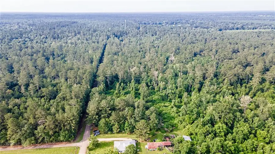 10 Acres Lee Settlement Road, Folsom, LA 70437 - #2