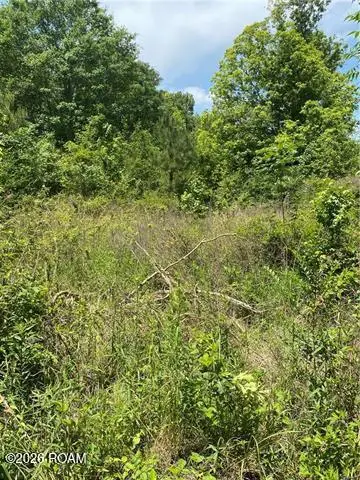 Tbd Par Road 545 ,west Street Street, Franklinton, LA 70438 - #1