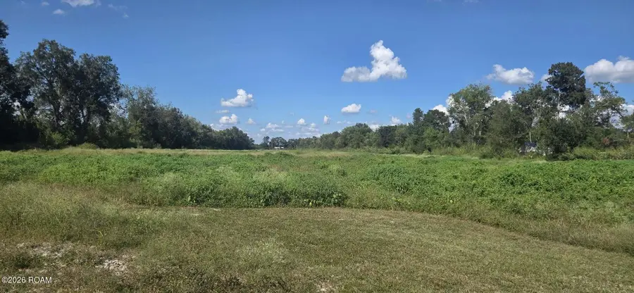 0000 Anlo Guidry Road, Breaux Bridge, LA 70517 - #2