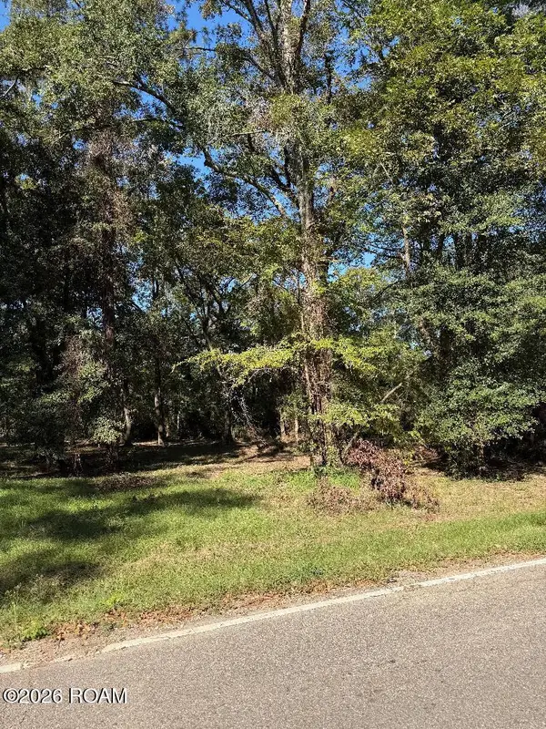 Lot C-1-a-4-b Tbd Shaffet Lane Lane, Zachary, LA 70791