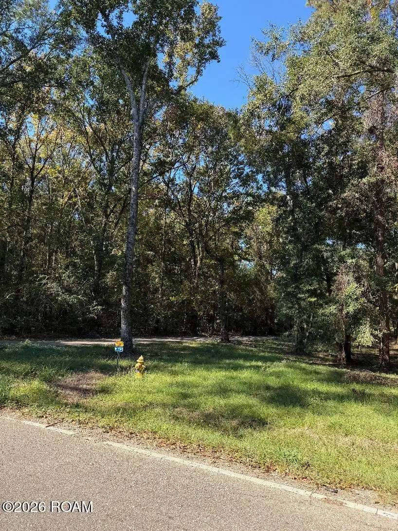 Lot C-1-a-4-b Tbd Shaffet Lane Lane, Zachary, LA 70791 - #2