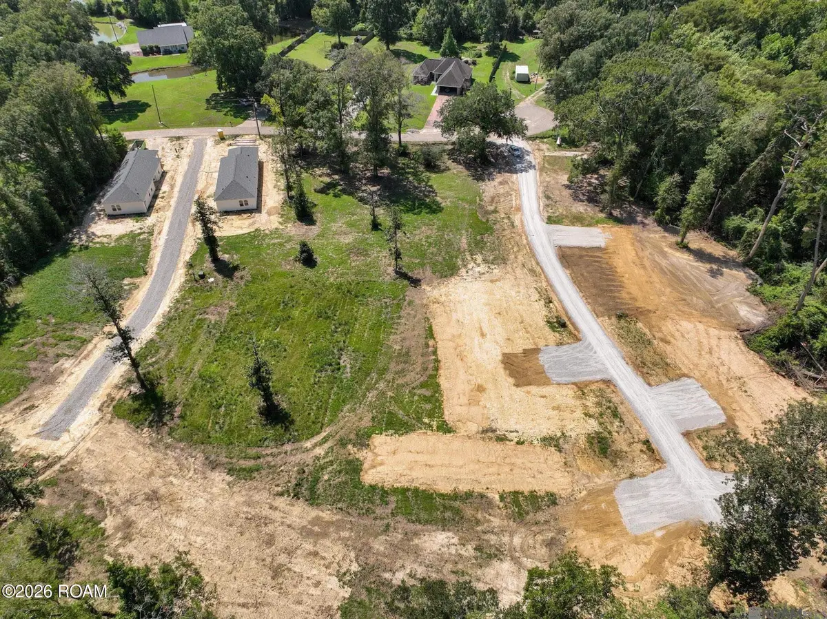 6979 Chandler Bluff Road, Denham Springs, LA 70706 - #1