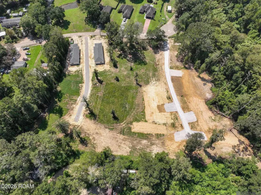 6979 Chandler Bluff Road, Denham Springs, LA 70706 - #3