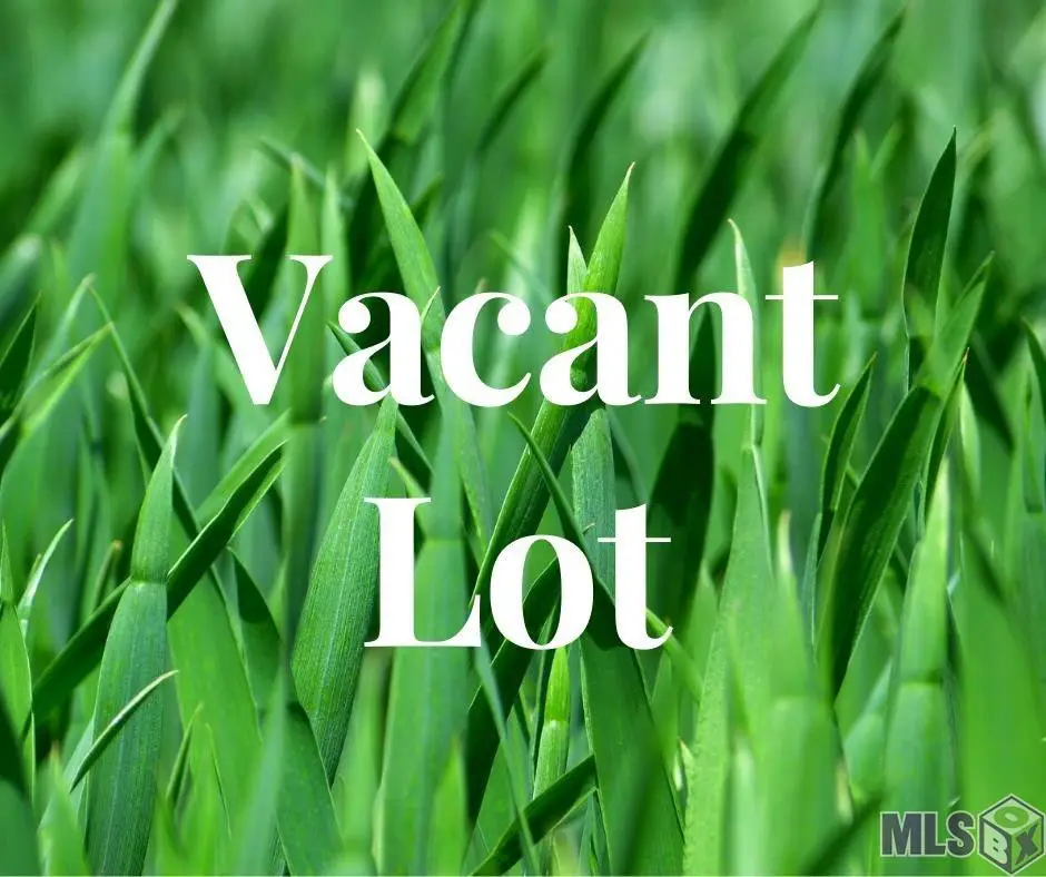 Lot 18-B-2 Veterans Blvd, Denham Springs, LA 70726 - #1