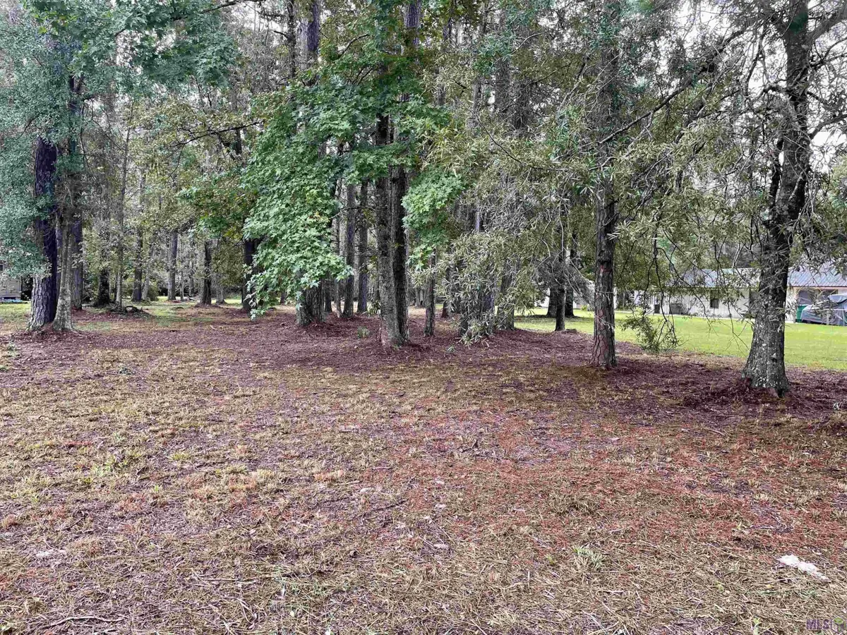 31387 River Pines Dr, Springfield, LA 70462 - #1