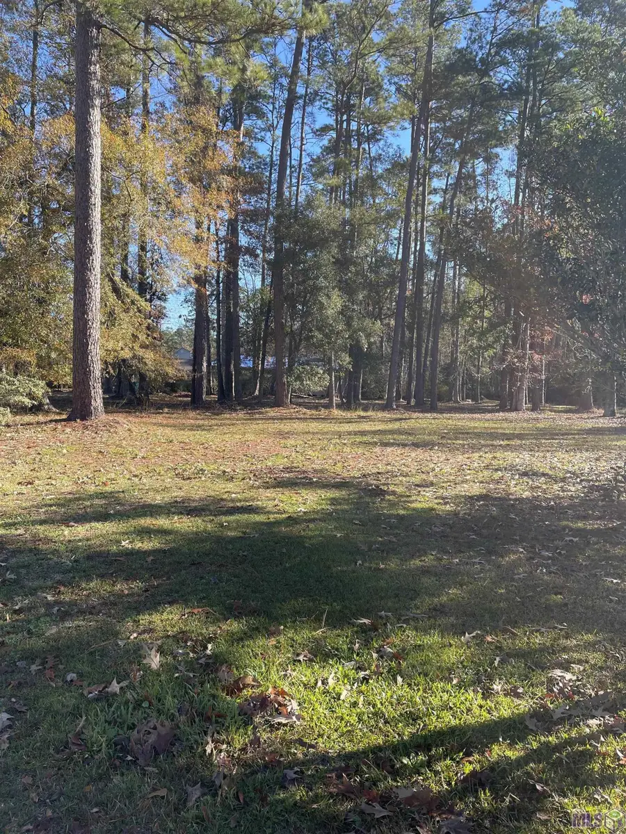 31387 River Pines Dr, Springfield, LA 70462 - #2