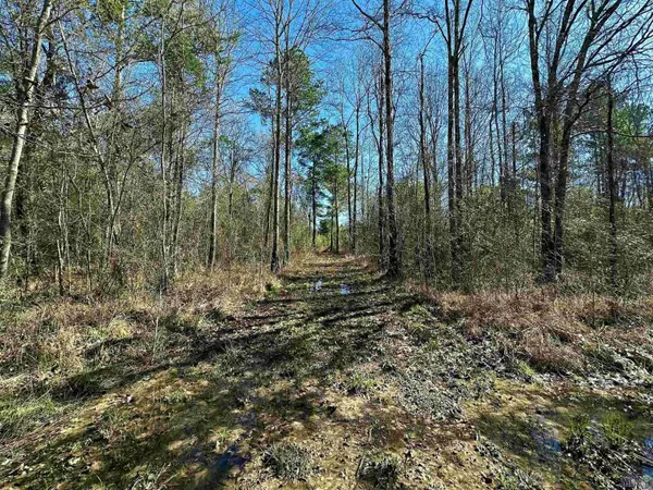 D-4-A Stella Ln, Walker, LA 70785
