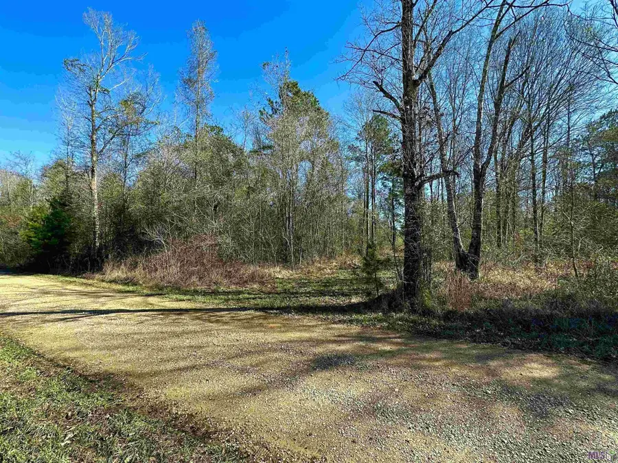 D-4-A Stella Ln, Walker, LA 70785 - #3