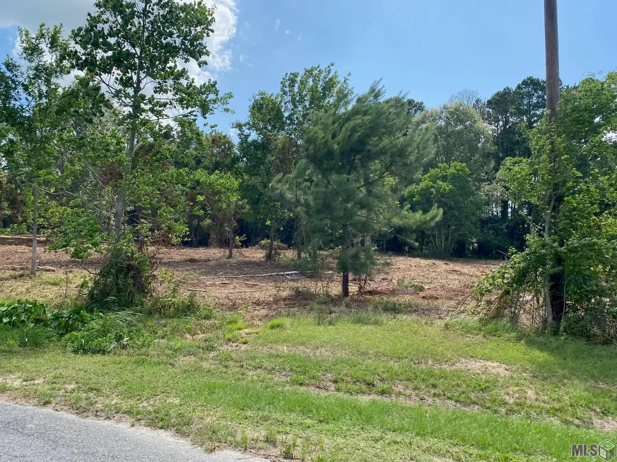 18389 Amite Acres Dr, Prairieville, LA 70769 - #1