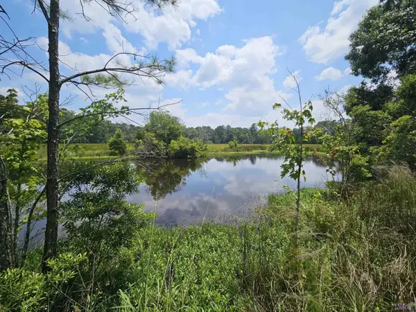 tbd Chaney Rd, Zachary, LA 70791