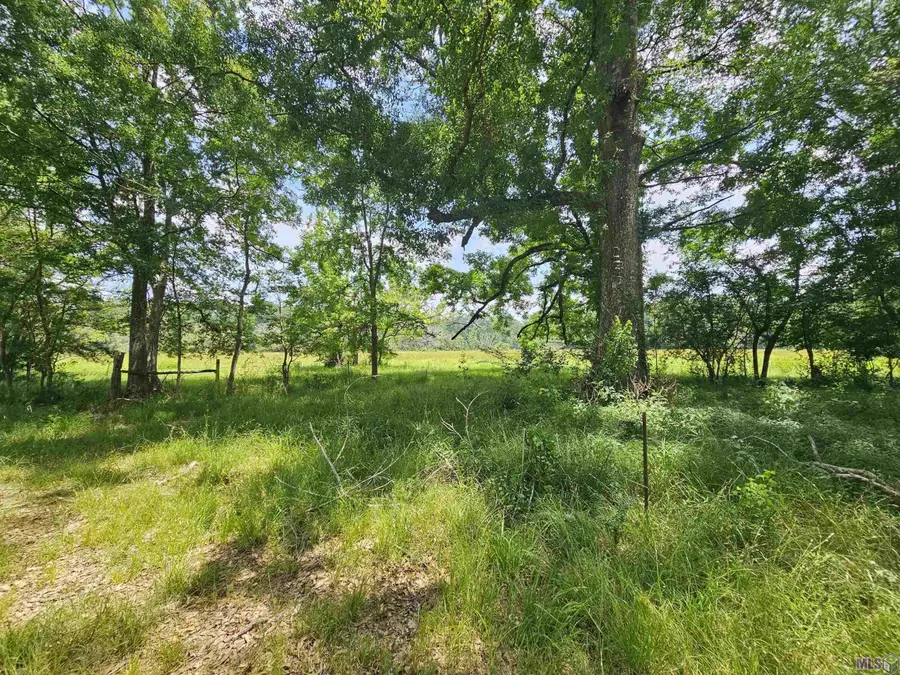 tbd Chaney Rd, Zachary, LA 70791 - #2