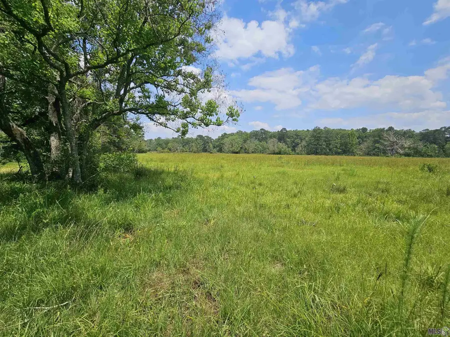 tbd Chaney Rd, Zachary, LA 70791 - #3