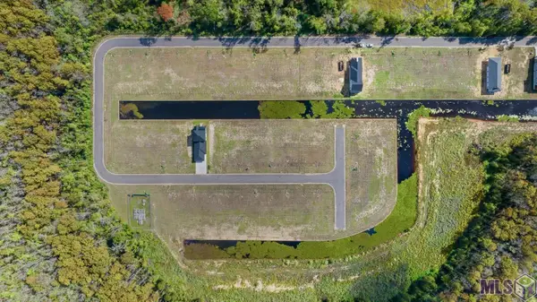 12868 St Lucia Dr, Maurepas, LA 70449
