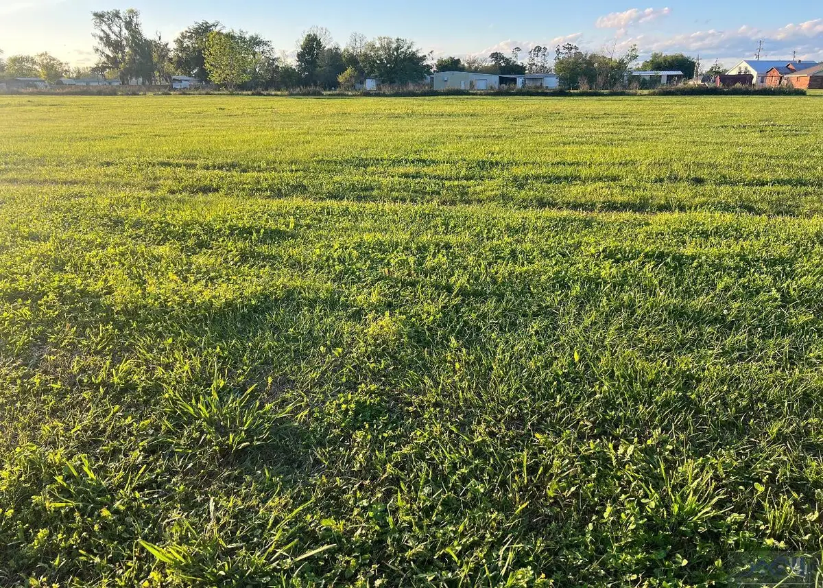 1413 Bayou Gardens Boulevard, Houma, LA 70364 - #1