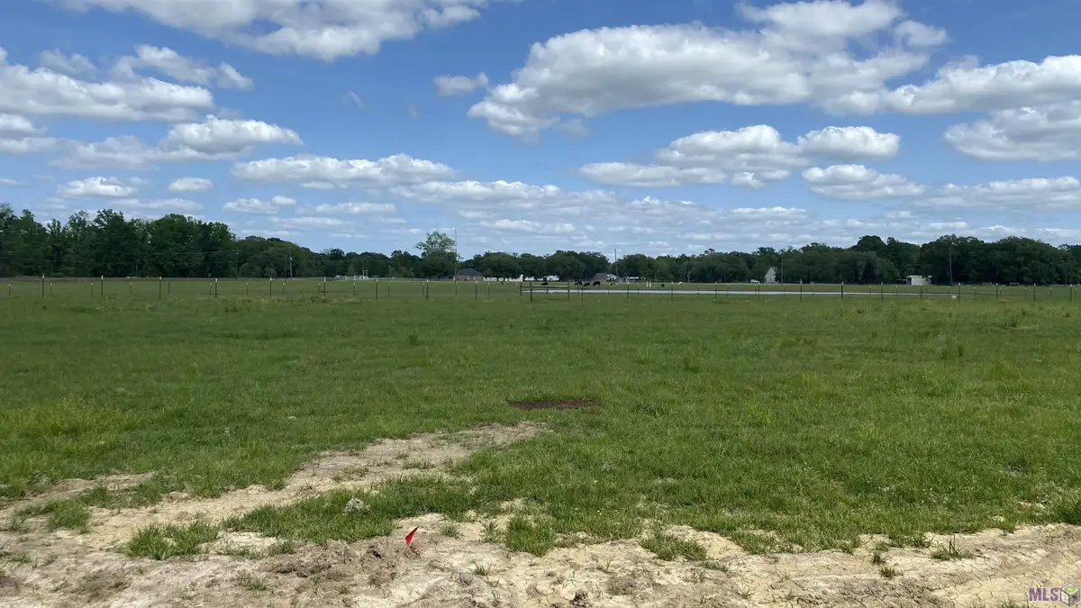 11080 Cessna St, Gonzales, LA 70737 - #1