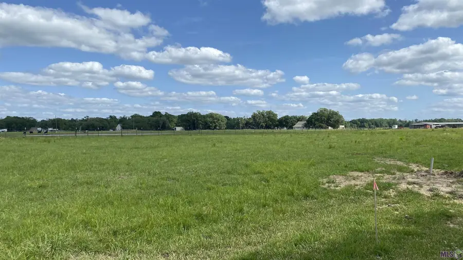 11080 Cessna St, Gonzales, LA 70737 - #3