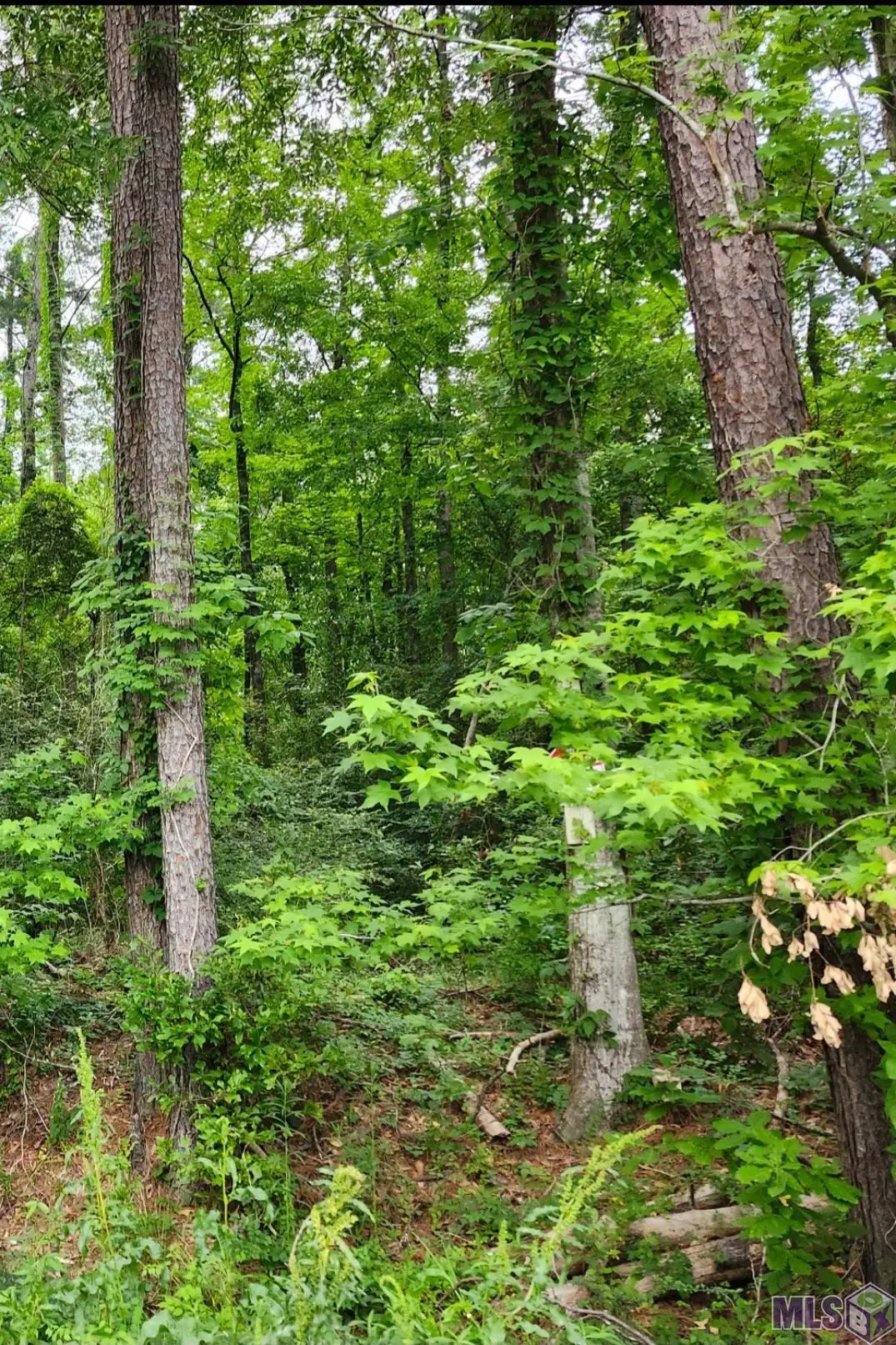 Lot 84 Baker Dr, Denham Springs, LA 70726 - #1