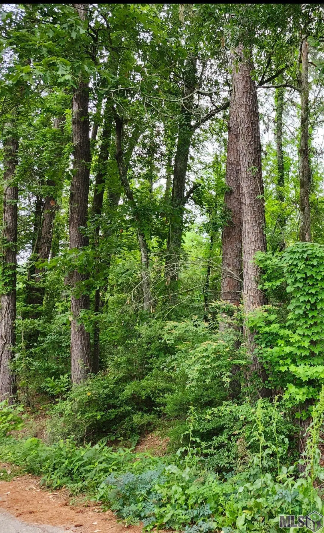 Lot 85 Baker Dr, Denham Springs, LA 70726 - #1