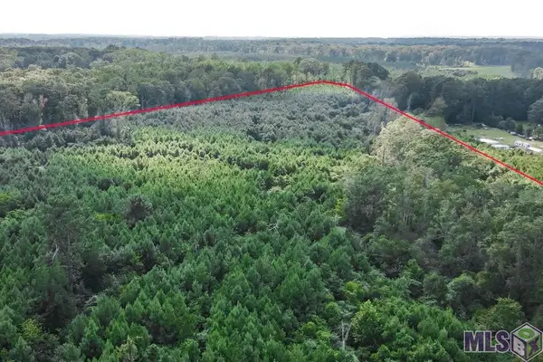 29.22 acres Battle Rd, Ethel, LA 70730