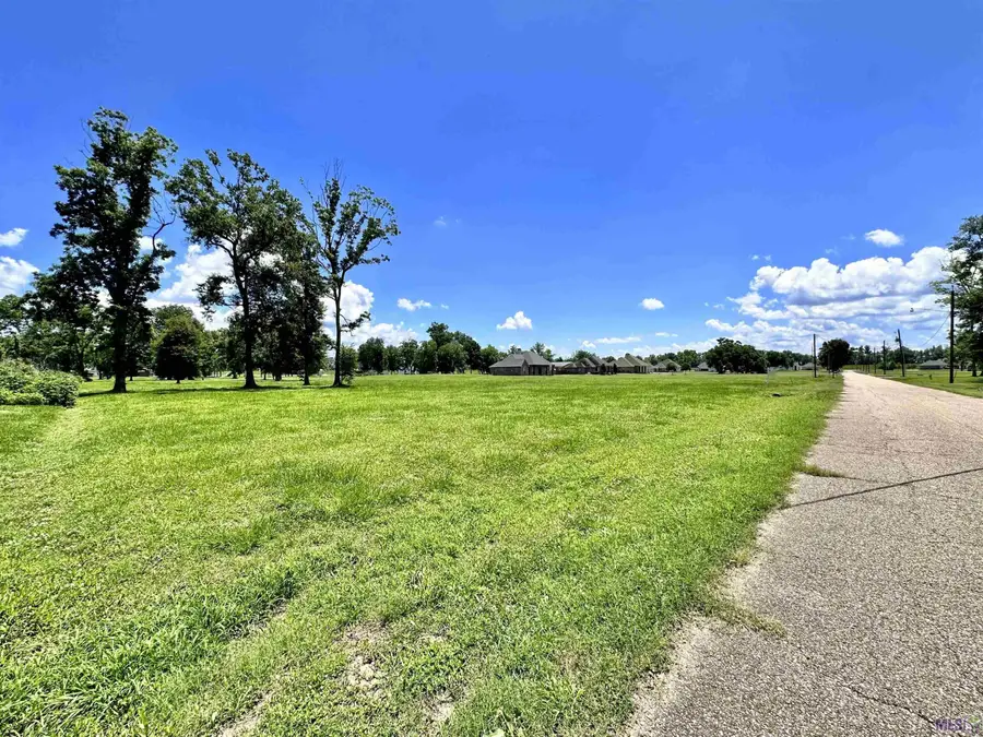 3224 Stanford Levy Rd, Darrow, LA 70725 - #2