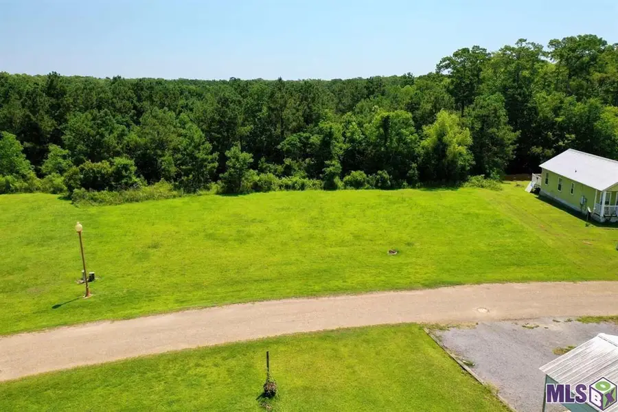17270 Tchula Dr, Springfield, LA 70462 - #2