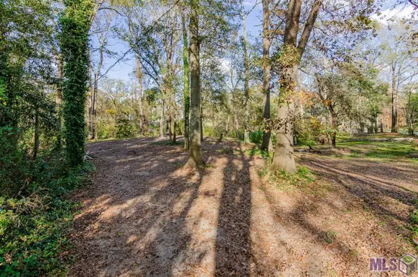 36608 Swamp Rd, Prairieville, LA 70769