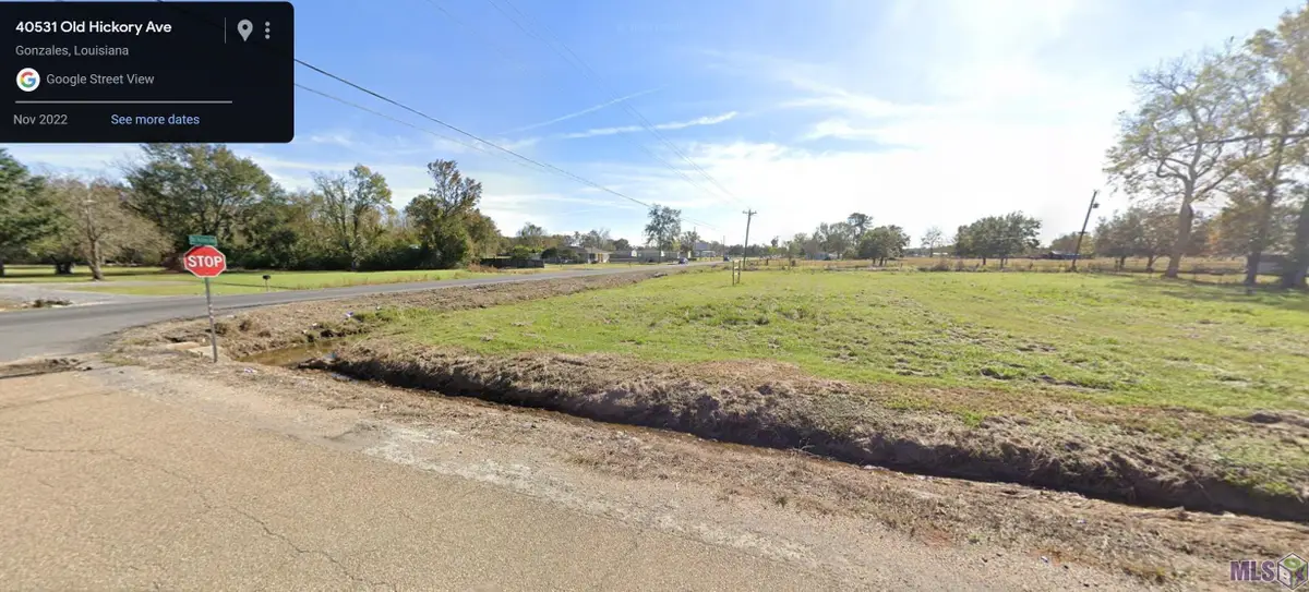 40531 Old Hickory Ave, Gonzales, LA 70737 - #1