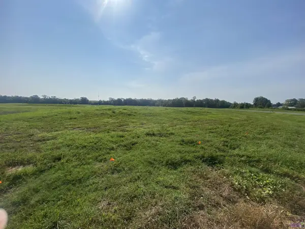 lot 19 Buddy Gore Rd, Gonzales, LA 70737