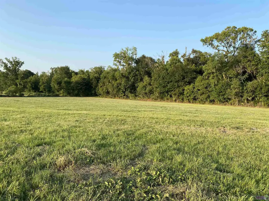 Lot 29 Buddy Gore Rd, Gonzales, LA 70737 - #3