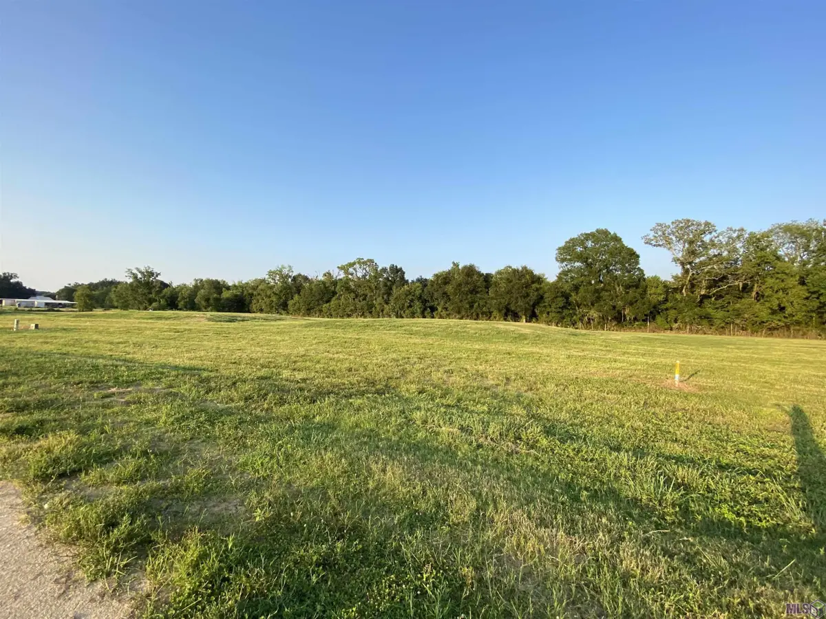 Lot 30 Buddy Gore Rd, Gonzales, LA 70737 - #1