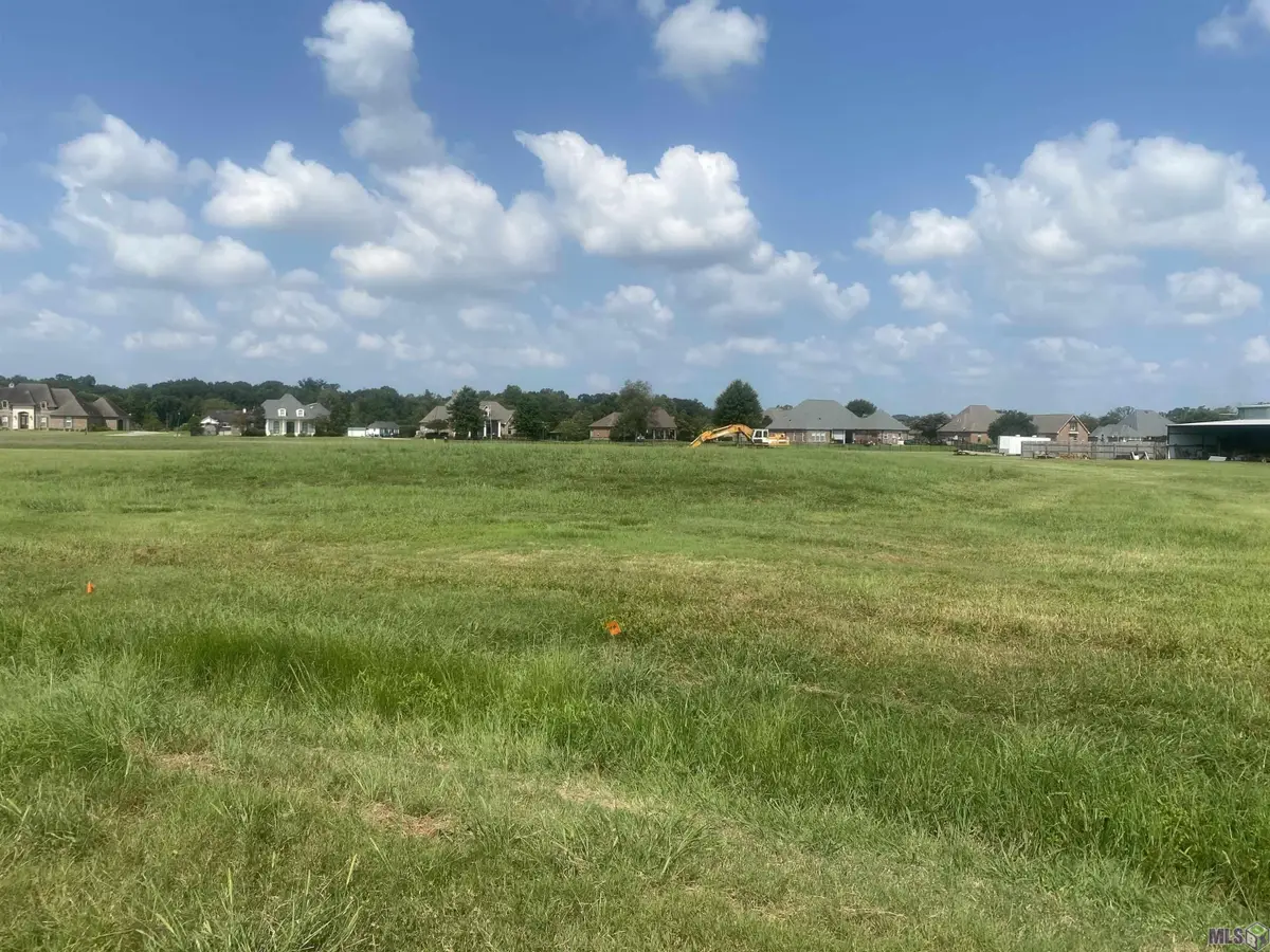 lot 24 Buddy Gore Rd, Gonzales, LA 70737 - #1