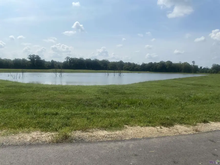 lot 24 Buddy Gore Rd, Gonzales, LA 70737 - #3