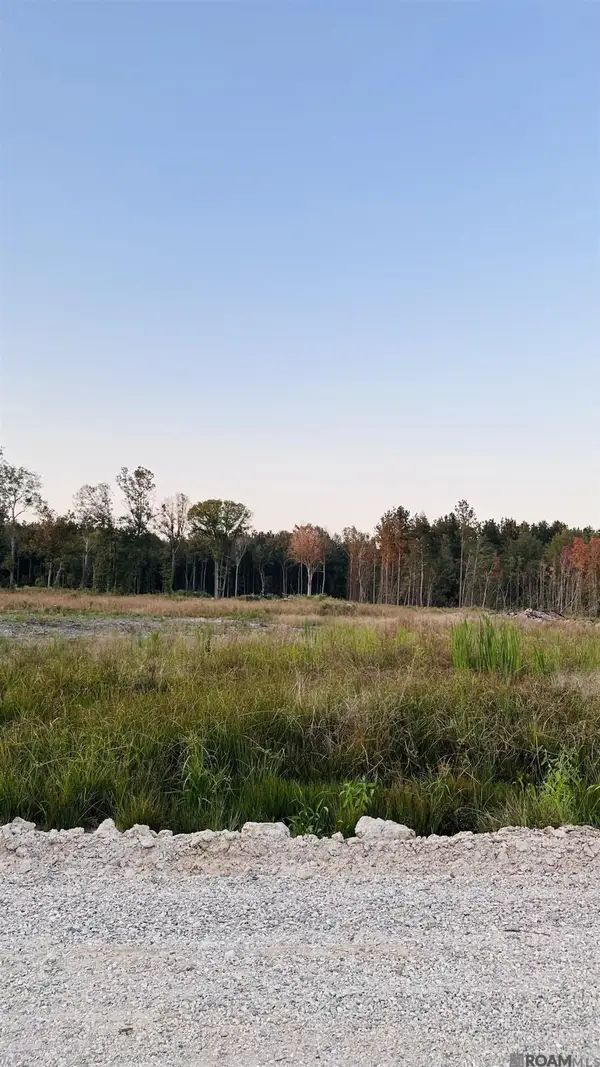 16457 Peacock Drive, Walker, LA 70785