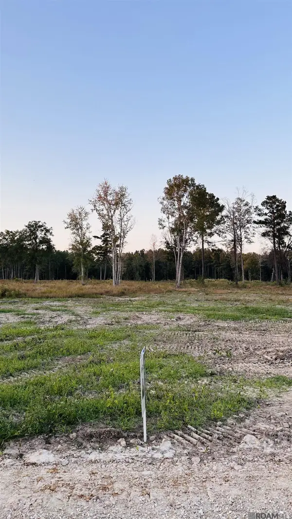 16425 Peacock Drive, Walker, LA 70785