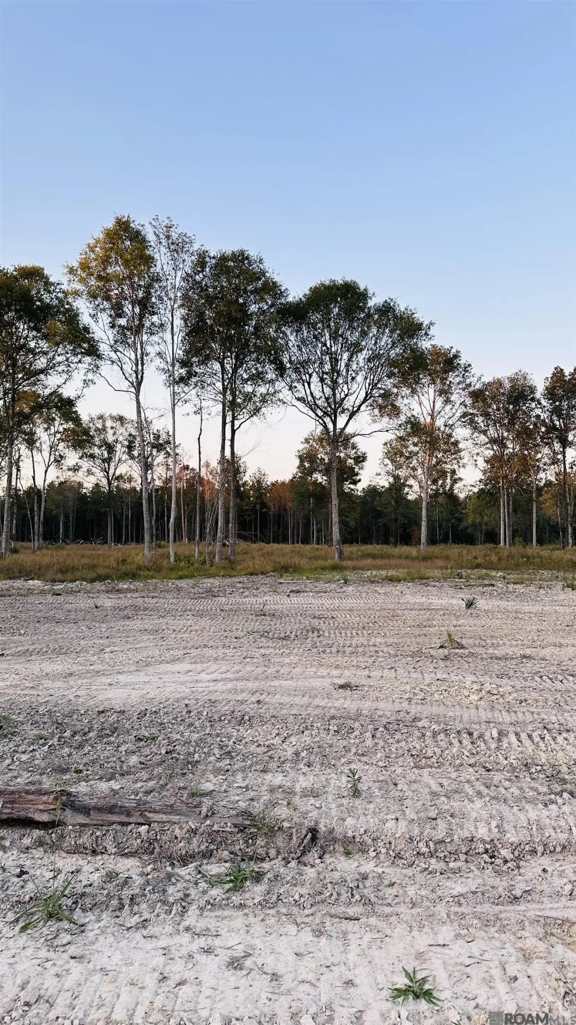 16393 Peacock Drive, Walker, LA 70785 - #1
