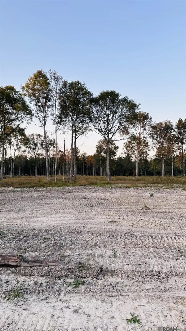 16393 Peacock Drive, Walker, LA 70785