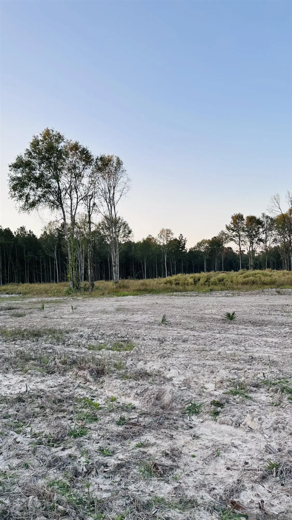 16361 Peacock Drive, Walker, LA 70785 - #1