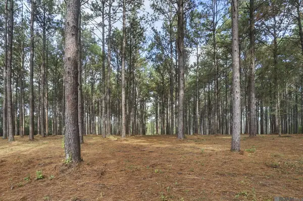 80114 Rosemary Lane, St. Francisville, LA 70775