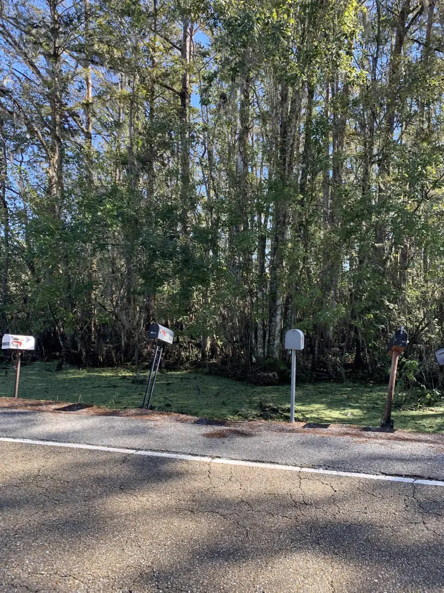 TBD #2 Stephensville Rd, Morgan City, LA 70380 - #2