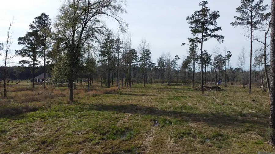 Lot 29 Tungoil Rd, Pine Grove, LA 70453 - #3