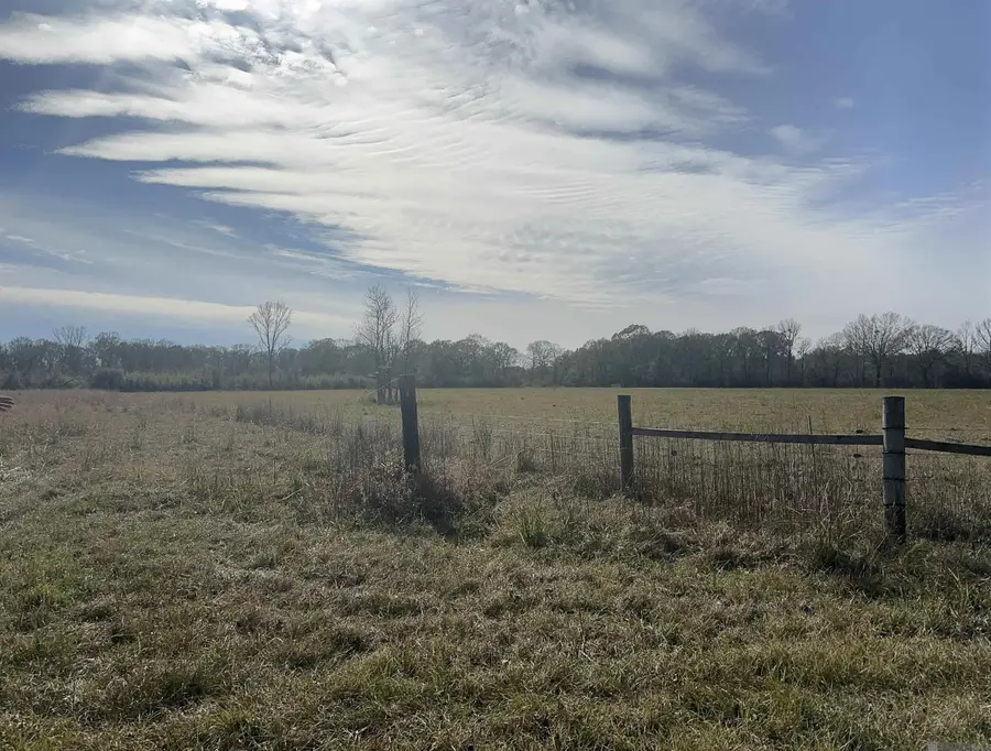 7474 Lemon Rd, Slaughter, LA 70777 - #2