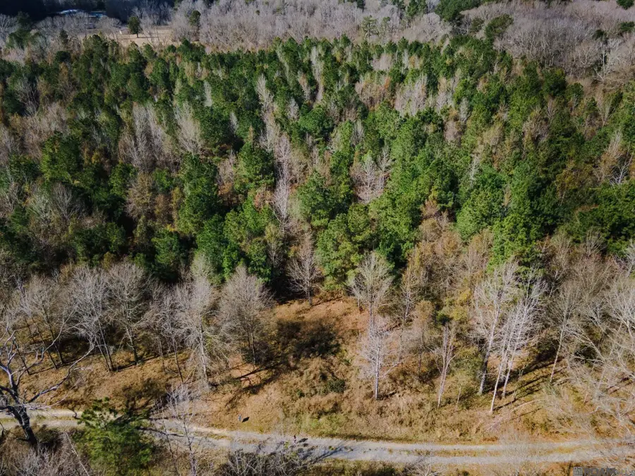 5905 Line Rd, Ethel, LA 70730 - #3