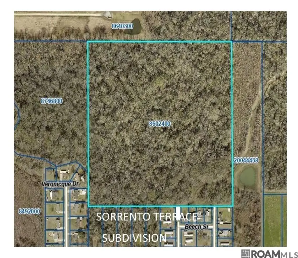 TBD Oak St, Sorrento, LA 70778 - #1