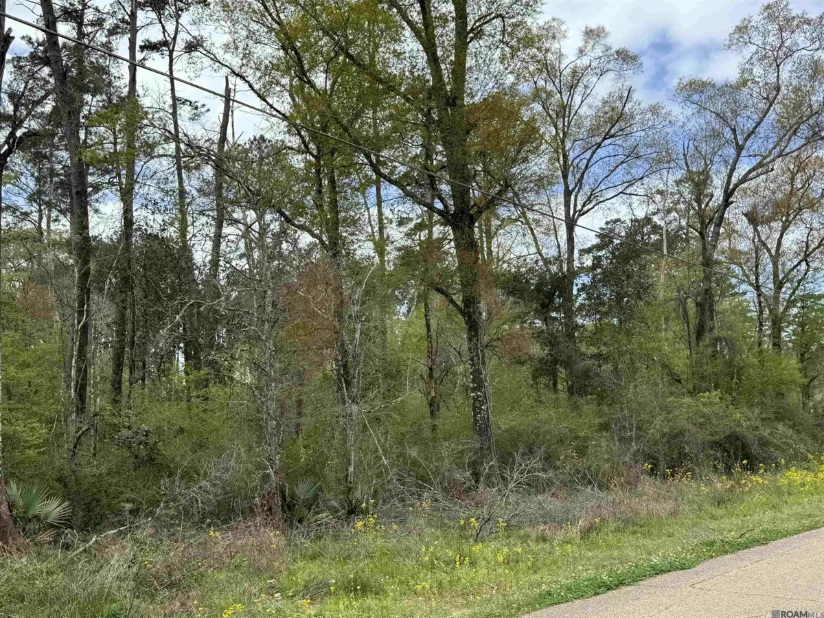 TBD Vincent Place Ave, Denham Springs, LA 70726 - #1