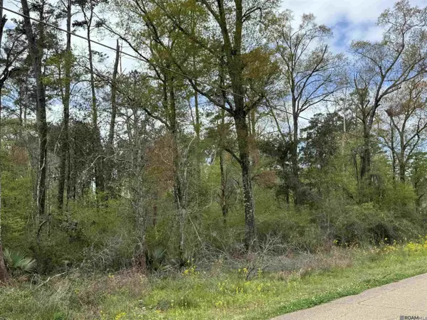 TBD Vincent Place Ave, Denham Springs, LA 70726