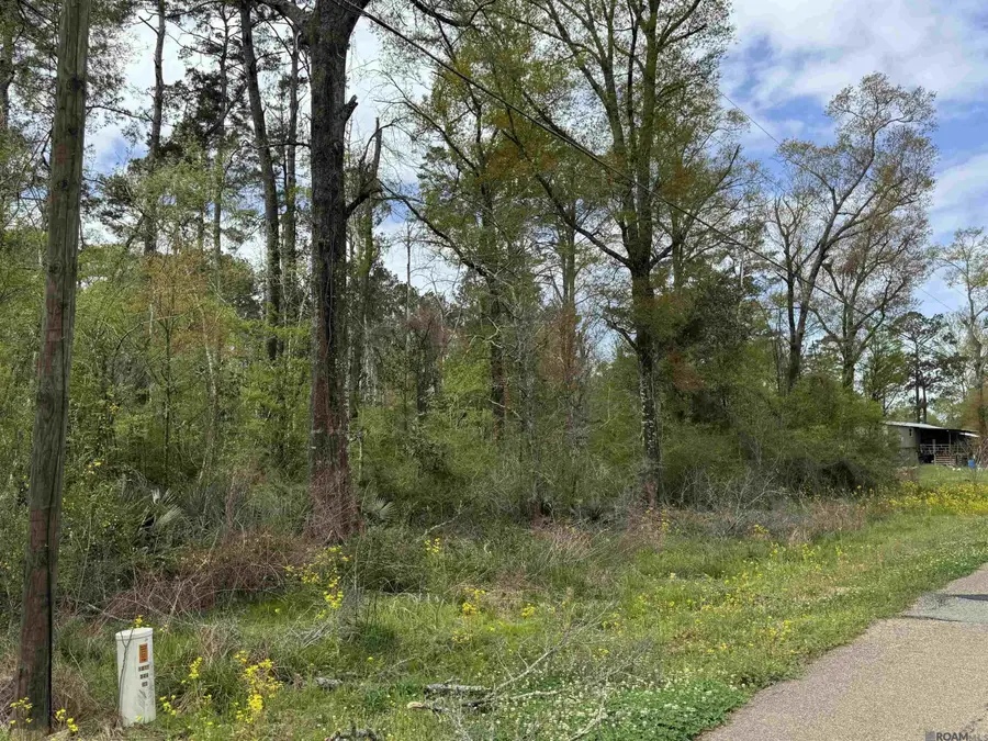 TBD Vincent Place Ave, Denham Springs, LA 70726 - #2